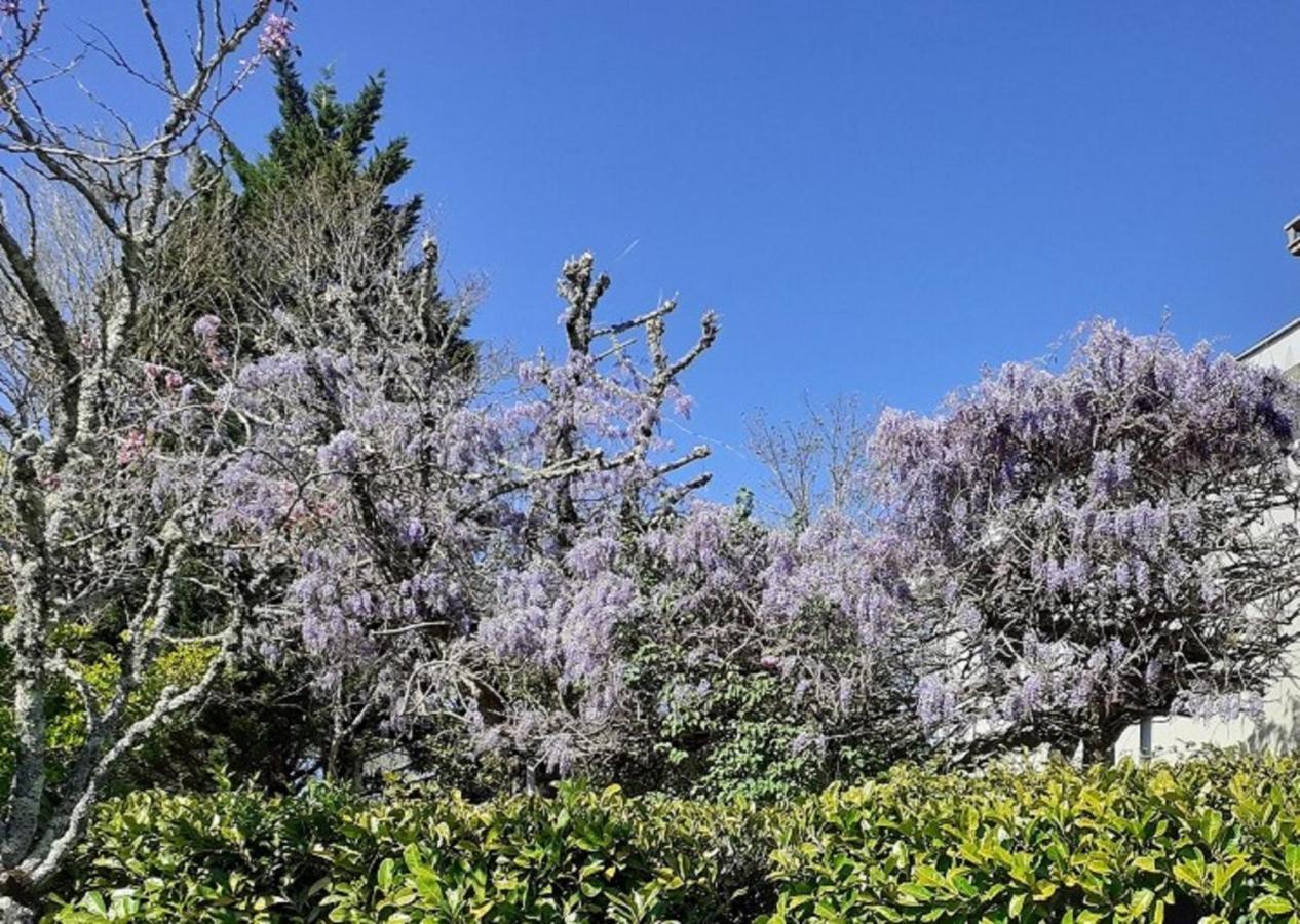 Le Gite Des Couderches Plazac Bagian luar foto